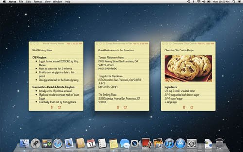 Notes_Mountain_Lion.jpg